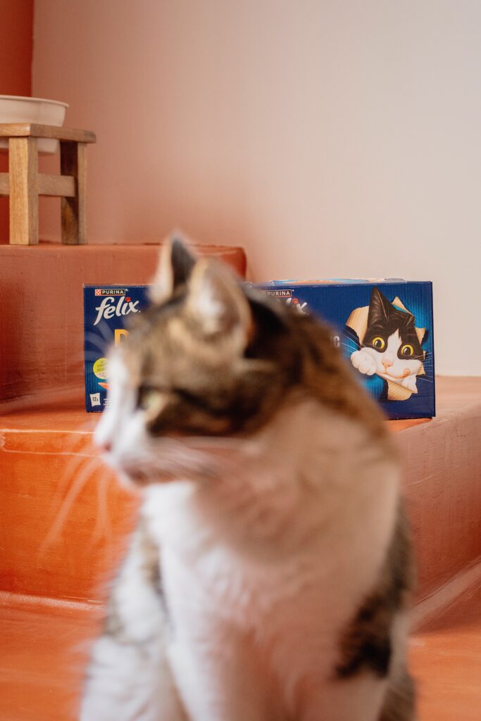 Diferentes sabores y formatos de Purina Felix: sobres, patés y snacks para gatos