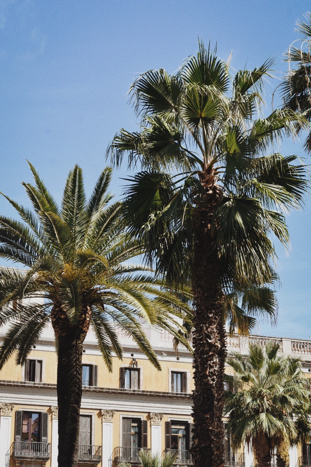 Plaça Reial de Barcelona
