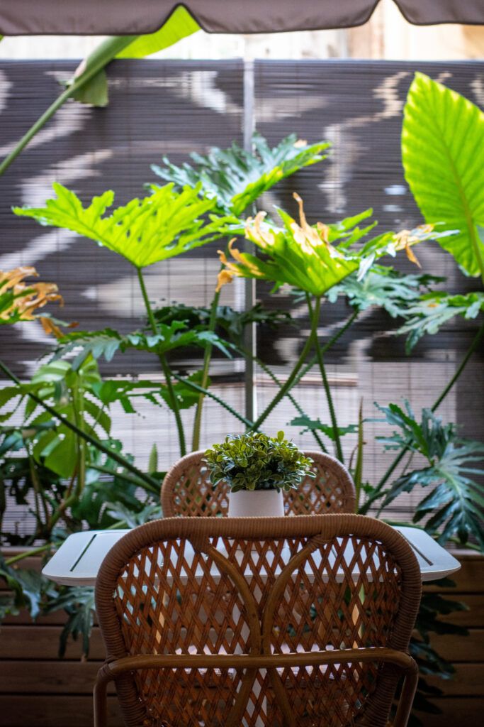 Terraza del restaurante peruano Macambo de Barcelona