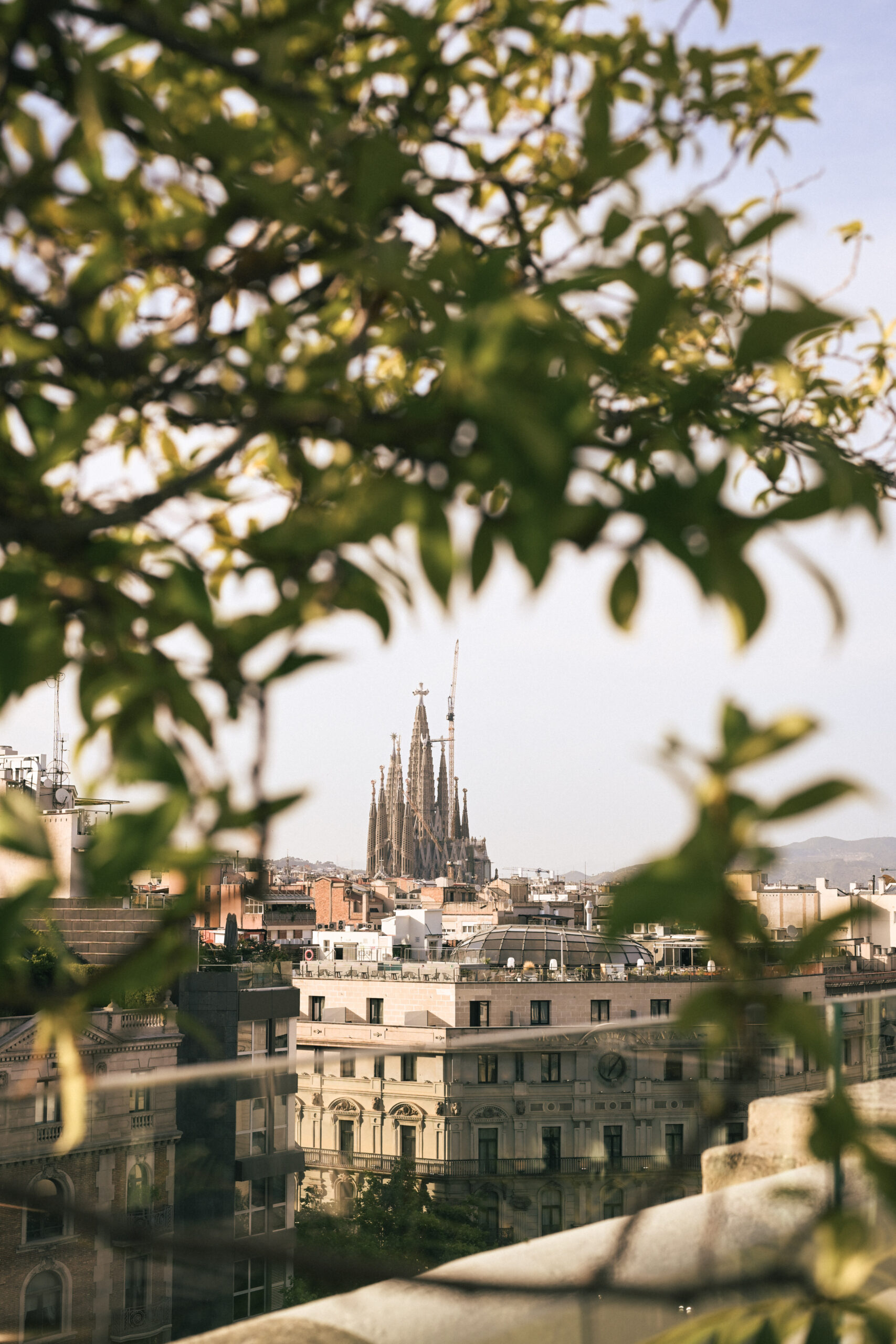 Vistas de la Sagrada Familia desde la terraza de El Palace Barcelona